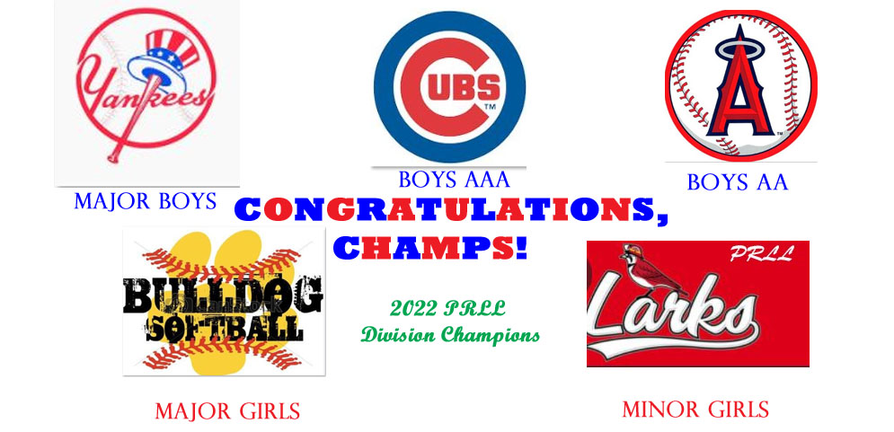 Recent Past: 2022 Division Champs