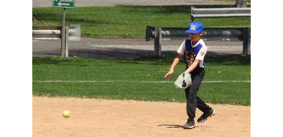 The 2026 Season is Here -- Play Ball !!