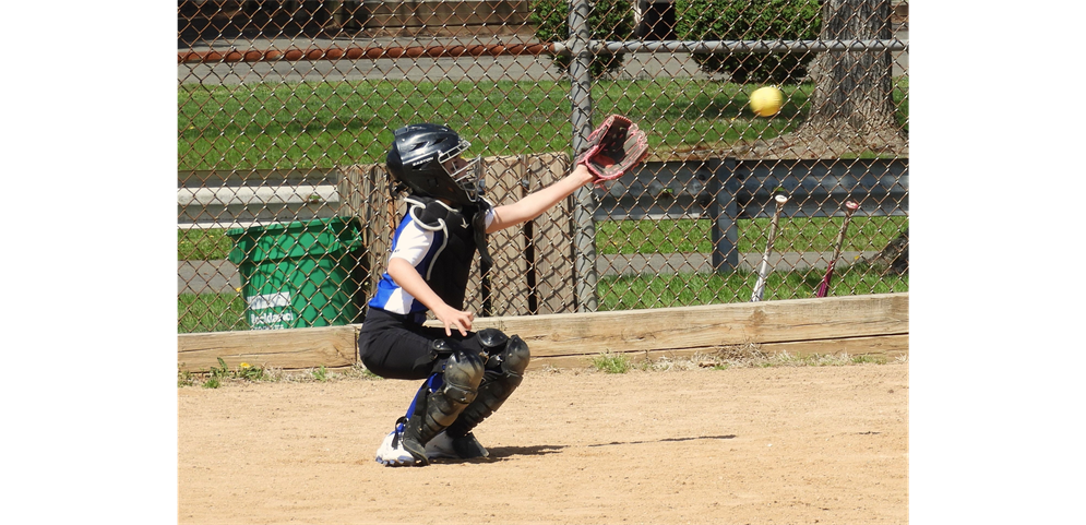 The 2026 Season is Here -- Play Ball !!